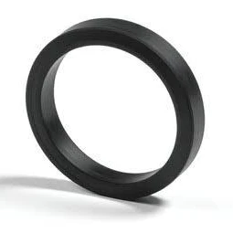 Backing Ring 200020151